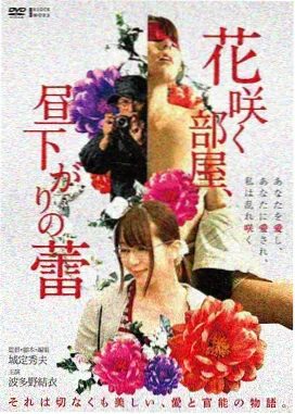 山海回声电影封面